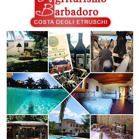 Agriturismo Barbadoro San Vincenzo Exterior photo