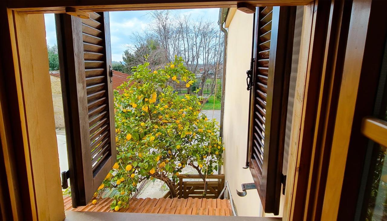 Agriturismo Barbadoro San Vincenzo Exterior photo